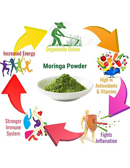 Polvo de Moringa Orgánico MOGO 0.45 kg - Superalimento Verde