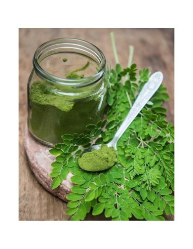 Polvo de Moringa Orgánico MOGO 0.45 kg - Superalimento Verde