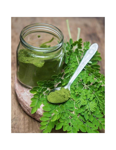 Polvo de Moringa Orgánico MOGO 0.45 kg - Superalimento Verde