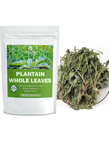 Té de Hoja de Plátano Secas 100% Natural HOLFLYING 56g