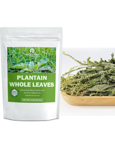 Té de Hoja de Plátano Secas 100% Natural HOLFLYING 56g