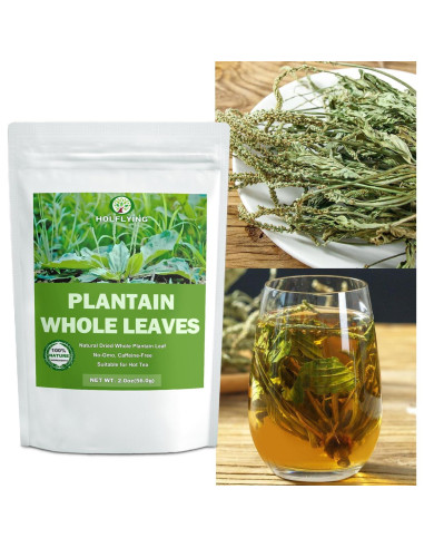 Té de Hoja de Plátano Secas 100% Natural HOLFLYING 56g