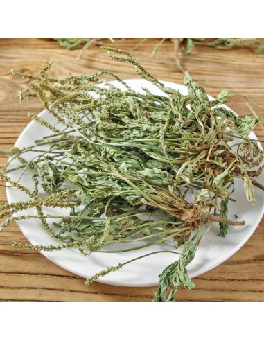 Té de Hoja de Plátano Secas 100% Natural HOLFLYING 56g