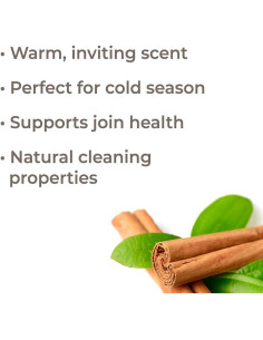 Aceite Esencial de Hoja de Canela 10 mL Plant Therapy 100% Puro 2