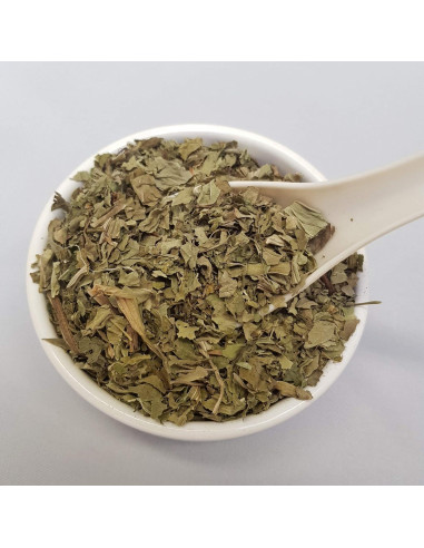 Té Herbal Hoja de Plátano Mayor Orgánica Shender 50g