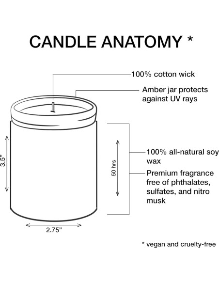 Vela Aromática Kanobi Bosque Lluvioso 255g Cera Soja Natural Vela Aromática Kanobi Bosque Lluvioso 255g Cera Soja Natural