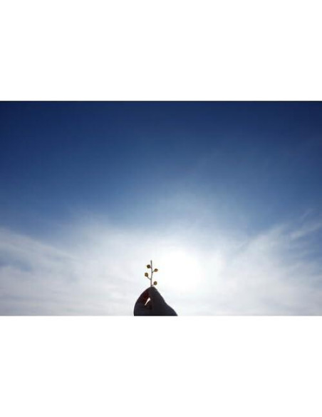 Lente Sigma 10-18mm f/2.8 DC DN Contemporánea para Canon RF-S Lente Sigma 10-18mm f/2.8 DC DN Contemporánea para Canon RF-S