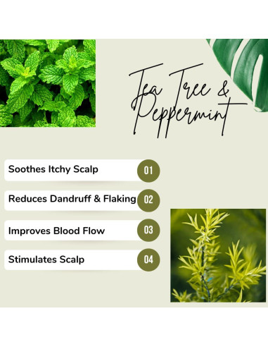 Mantequilla de Chebe Le Shea's Essentials 227g Crecimiento Cabello