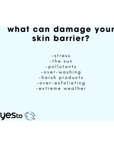 Hidratante Facial Sí A 50 ml con Ácido Hialurónico y Pepino