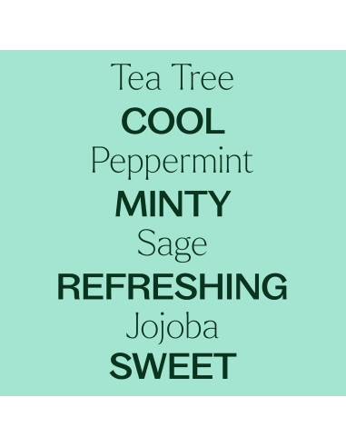 Jabón Corporal Natural Plant Therapy 473 ml Árbol de Té y Menta