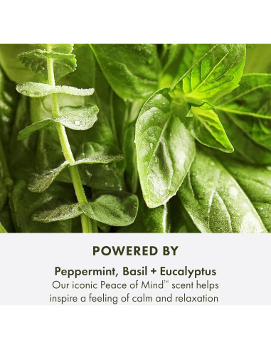 Aceite de Baño Relajante Origins Peace of Mind 148 ml