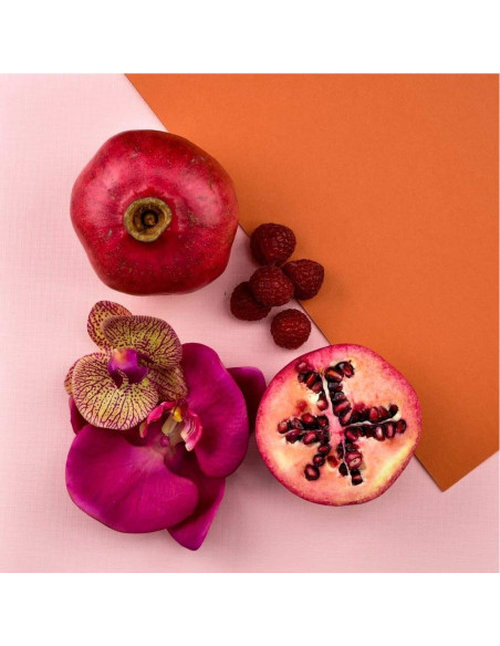 Soy Body Whip Skin Apothetique 453g Orquídea Roja Hidratante