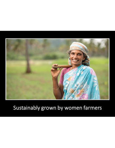 Aceite de Cártamo Daana 354 ml - Orgánico, Hidratante y Antienvejecimiento