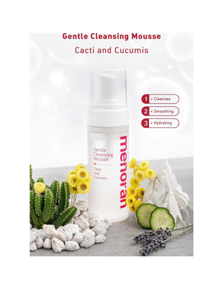 Mousse Limpiadora Suave Menorah - Cactus y Pepino 248g