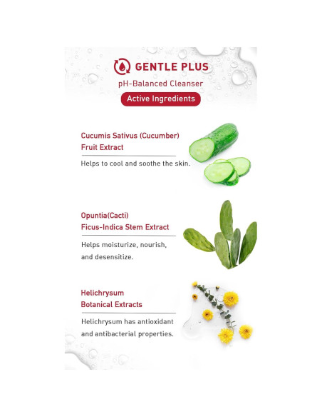 Mousse Limpiadora Suave Menorah - Cactus y Pepino 248g