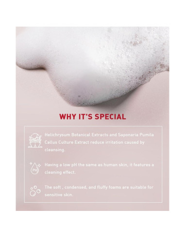 Mousse Limpiadora Suave Menorah - Cactus y Pepino 248g