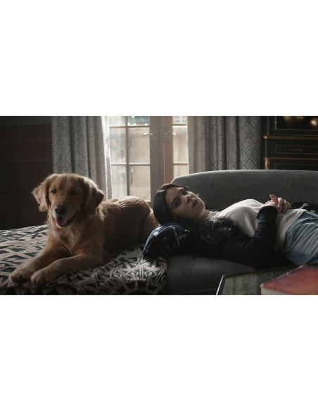 El Mandaloriano: Temporada 3 Blu-ray 4K - Sony Pictures