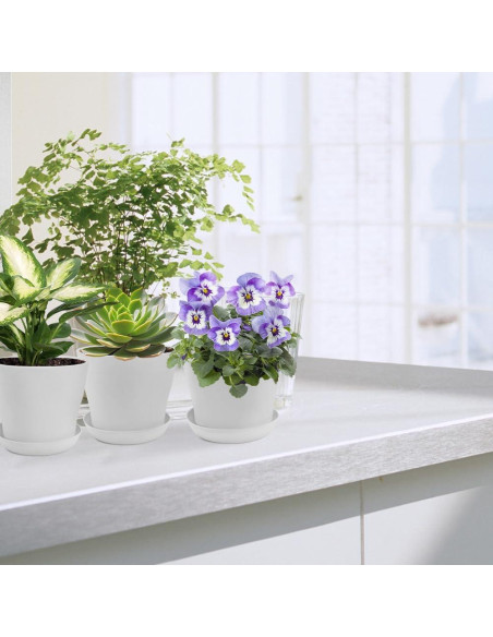 Paquete de 16 macetas blancas Slergut 9.7 cm con drenaje