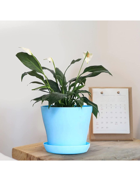 Tosnail Paquete de 24 Macetas de Plástico 10cm con Platillos