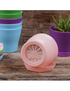 Macetas de Plástico TDHDIKE 10 Pcs con Drenaje 9.7 cm 2