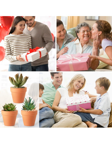 Macetas de Terracota Baxrou 7.62 cm Paquete de 24 con Drenaje