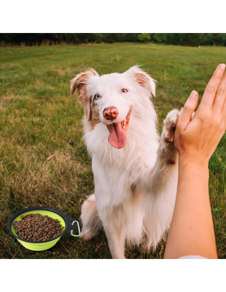 Cuencos Plegables para Perros SLSON 2Pack 380ml Verde y Azul