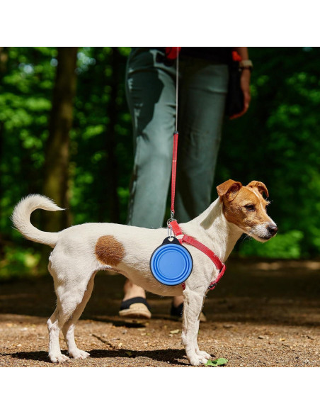 Cuencos Plegables para Perros SLSON 2Pack 380ml Verde y Azul
