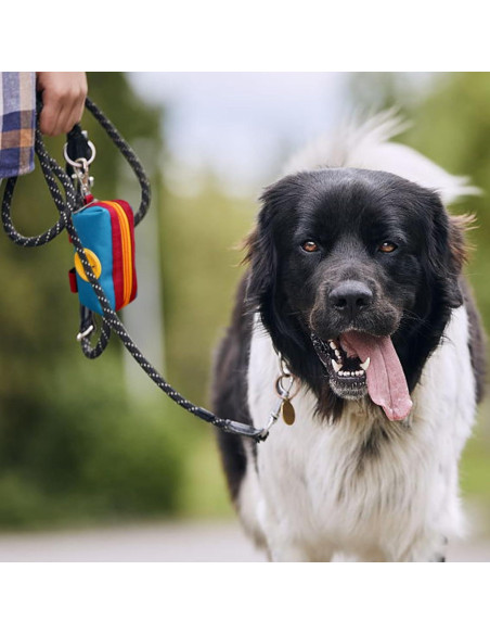 Dispensador de Bolsas de Excremento de Perro Lepawit Azul
