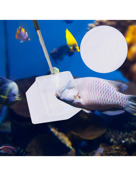 Red para Acuario Hariendny 6.5cm Mango Retráctil Negro