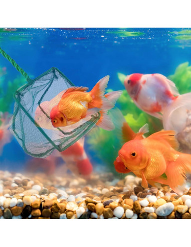 Paquete de 4 Redes de Acuario PHITUODA Nylon Verde 7.62-15.24cm