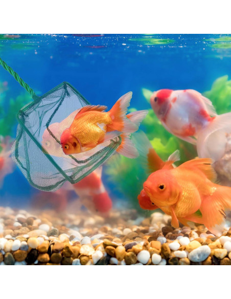 Paquete de 4 Redes de Acuario PHITUODA Nylon Verde 7.62-15.24cm Paquete de 4 Redes de Acuario PHITUODA Nylon Verde 7.62-15.24cm