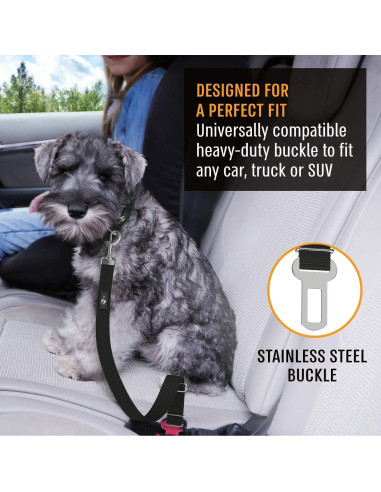 Arnés de Cinturón de Seguridad para Perros Active Pets Negro