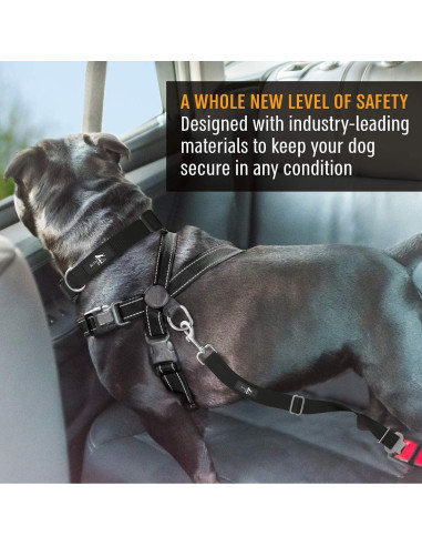 Arnés de Cinturón de Seguridad para Perros Active Pets Negro
