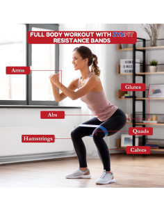 Bandas de Resistencia ZYNFIT - 5 Niveles para Ejercicio y Terapia 2