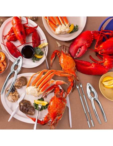 Juego de 8 Garras y Picos de Acero Inoxidable HLARTNET