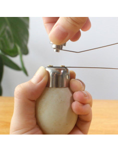 Abridor de Cáscara de Huevo Garosa Acero Inoxidable 10cm 2