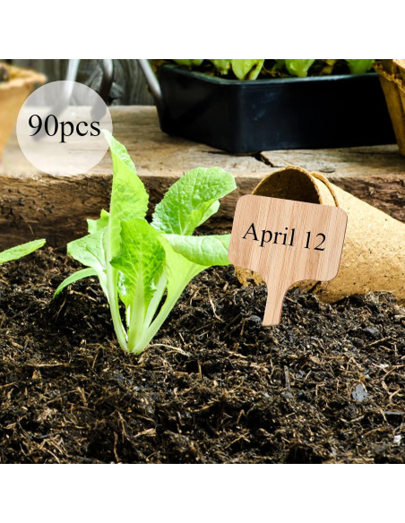 Etiquetas de Plantas de Bambú Elsjoy 90 Piezas 9 Estilos
