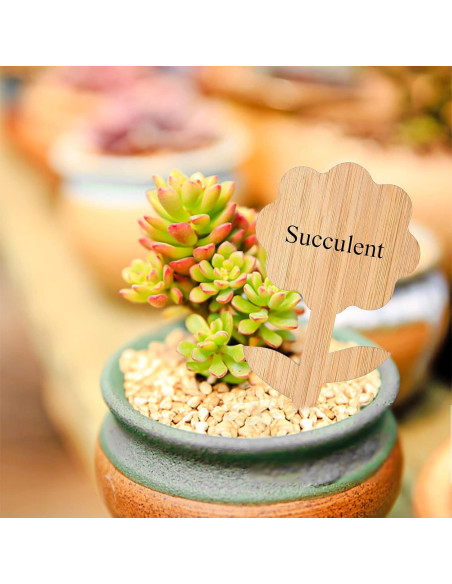 Etiquetas de Plantas de Bambú Elsjoy 90 Piezas 9 Estilos