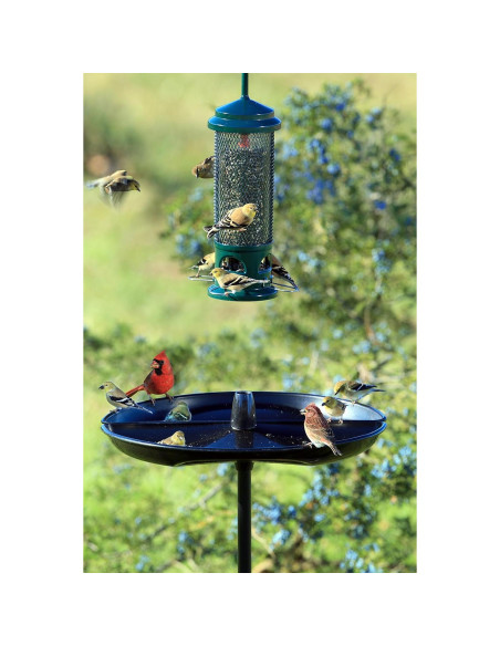 Bandeja Captadora de Semillas Brome 53.34 cm para Aves