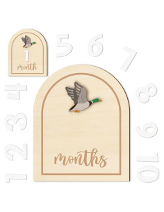 Tarjetas de Hitos Mensuales R HORSE 14 Piezas Madera 3D Bebés