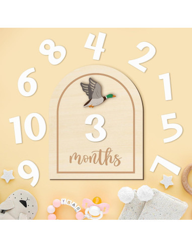 Tarjetas de Hitos Mensuales R HORSE 14 Piezas Madera 3D Bebés