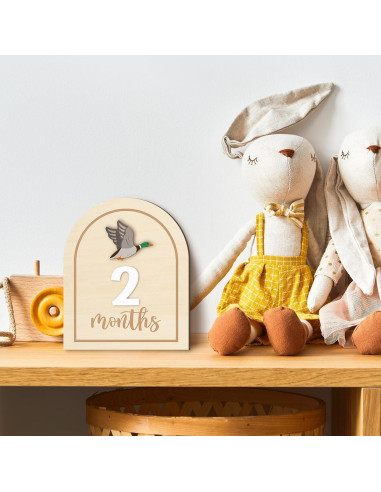 Tarjetas de Hitos Mensuales R HORSE 14 Piezas Madera 3D Bebés