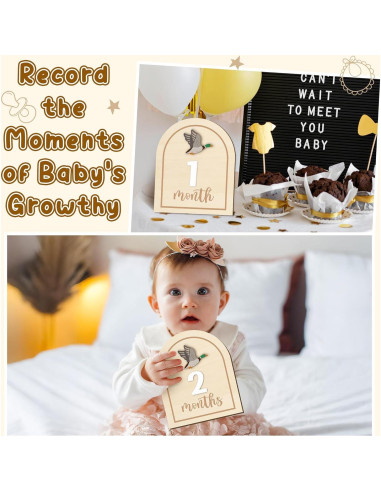 Tarjetas de Hitos Mensuales R HORSE 14 Piezas Madera 3D Bebés