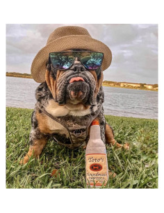 Juguete de Peluche Squeaky Crinkle Toto 24.1 cm para Perros 2