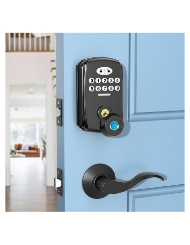 Cerradura Biométrica PHYSEN con Huella Dactilar y Manijas