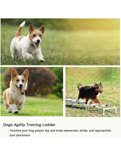 Escalera de Agilidad para Perros PLKO - Entrenamiento Exterior 2