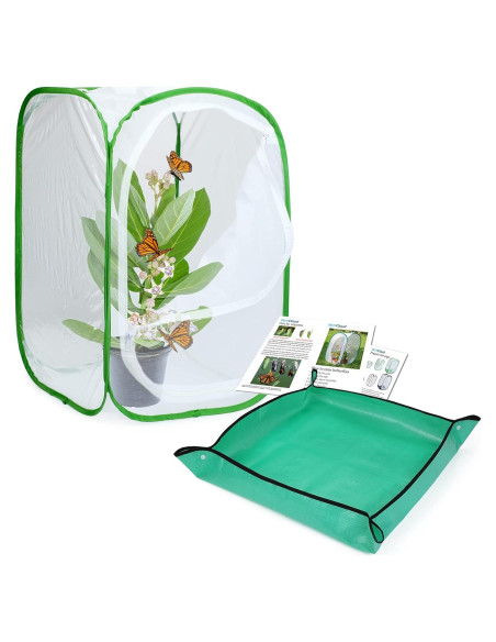 Hábito de Mariposas Restcloud 61 cm con Plato de Excremento