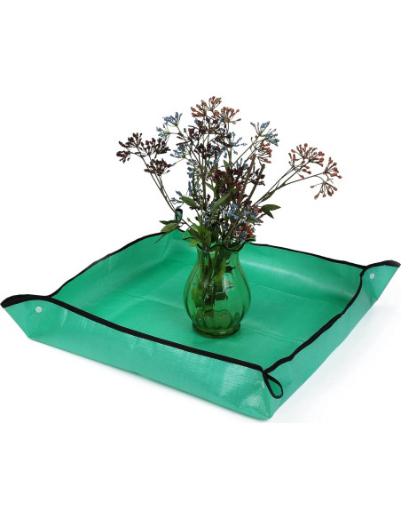 Hábito de Mariposas Restcloud 61 cm con Plato de Excremento