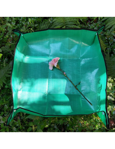 Hábito de Mariposas Restcloud 61 cm con Plato de Excremento