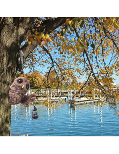 Luz Solar Abrazador de Árbol BingegePet Decoración Jardín 2